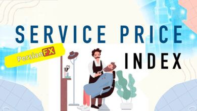 شاخص قیمت خدمات SPI یا Services Price Index